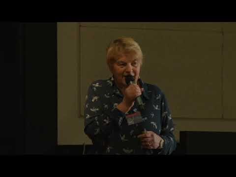 Évaluations des performances des patins selon les terrains